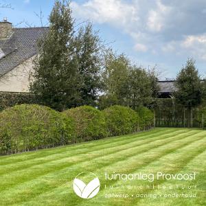 landschapstuin met gemengde hagen