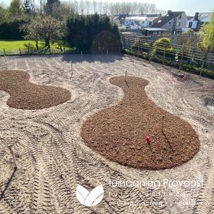 aanplant borders en bloemenweide