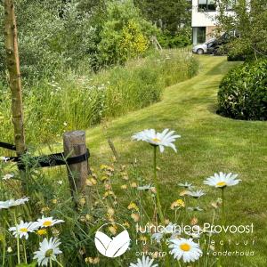 een verdoken inkom in de tuin